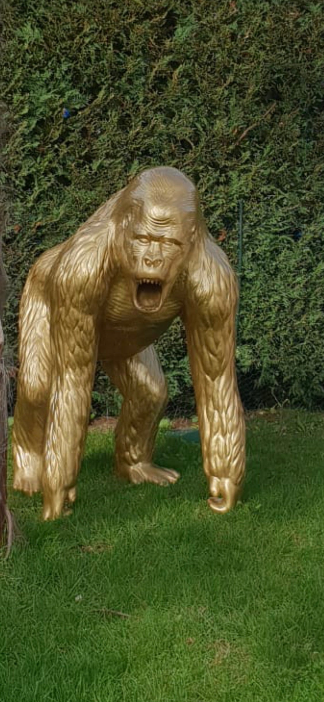 Gorilla 130cm ca.