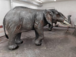 Elefant 223 x 410 x 155cm ca.