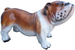 Englische Bulldog Figur 38 x 62cm ca.