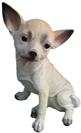 Chihuahua 30cm ca.