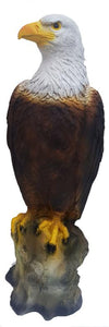 Adler 53cm ca.