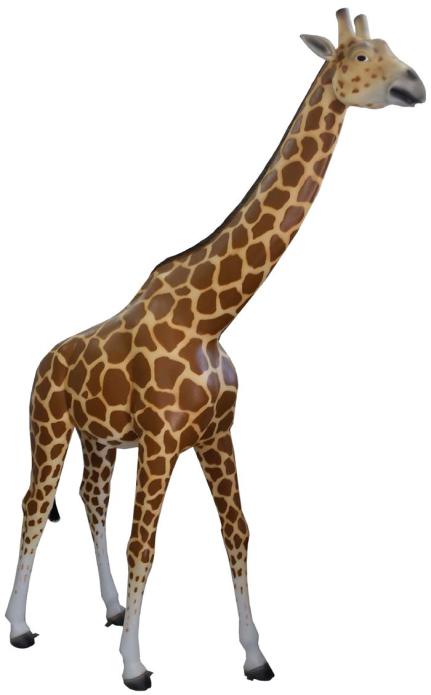 Giraffe ( 320 x 227 x 62cm ca.)