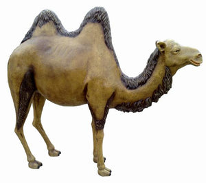 Kamel 210 x 185cm ca.