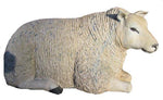 Schaf ( 50 x 100cm ca. )