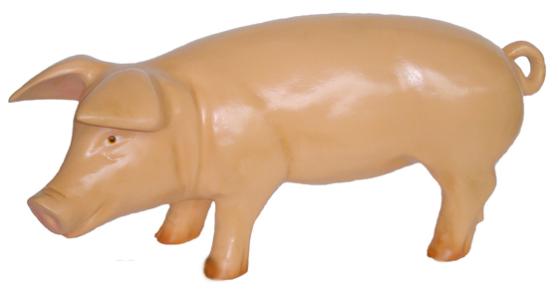 Schwein 23 x 60cm ca.