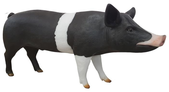 Schwein 75 x 160cm ca.