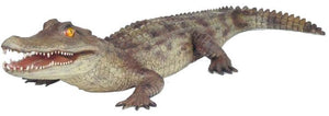 Alligator 198cm ca.