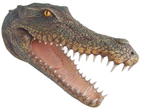 Alligator Kopf 80cm ca.