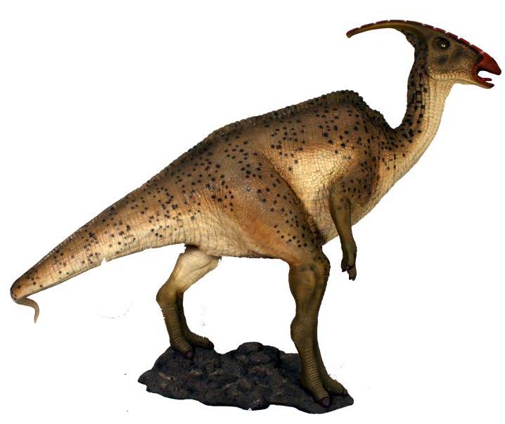 Parasaurolophus 240 x 298 x 101cm ca.